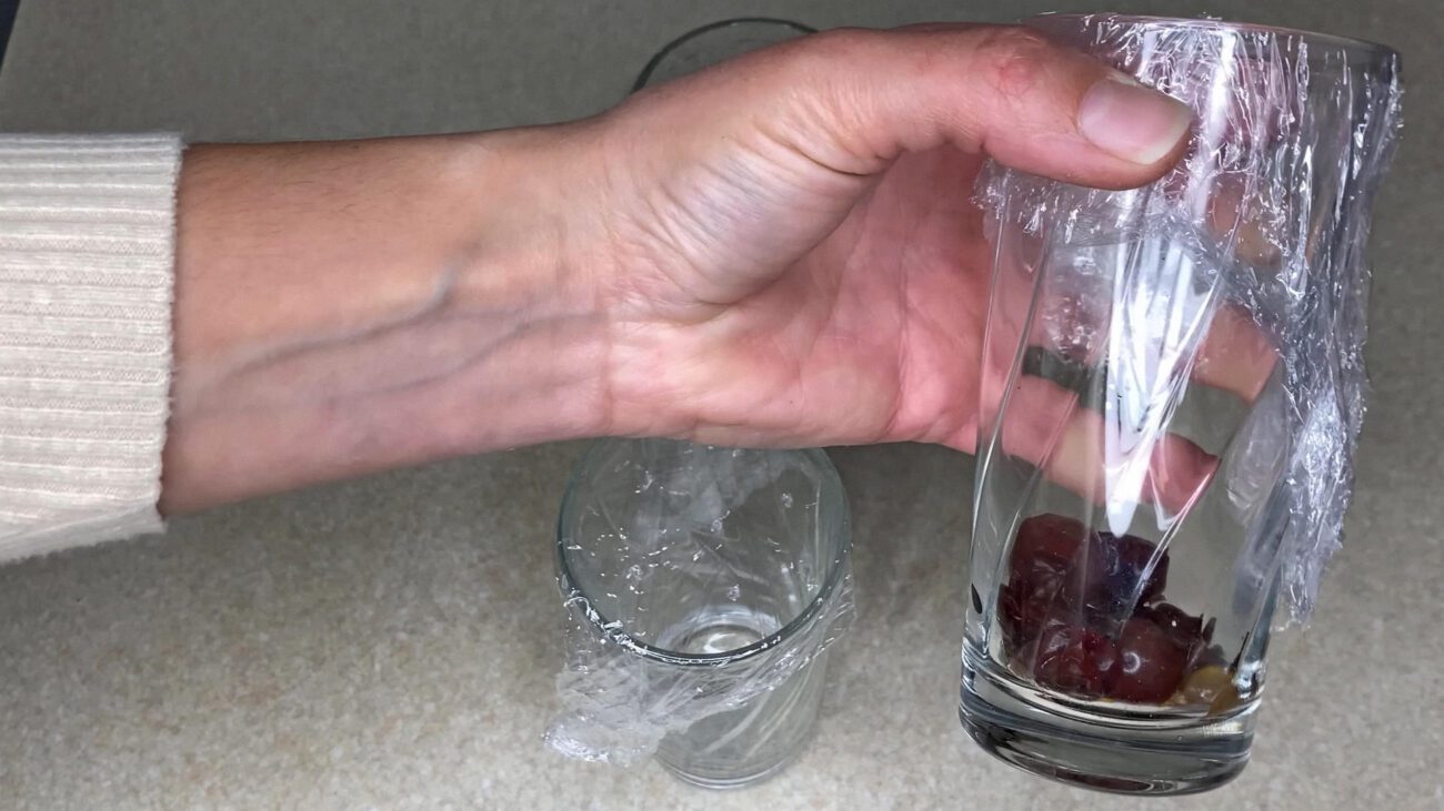 Господині показали, як позбутися мошки в домі