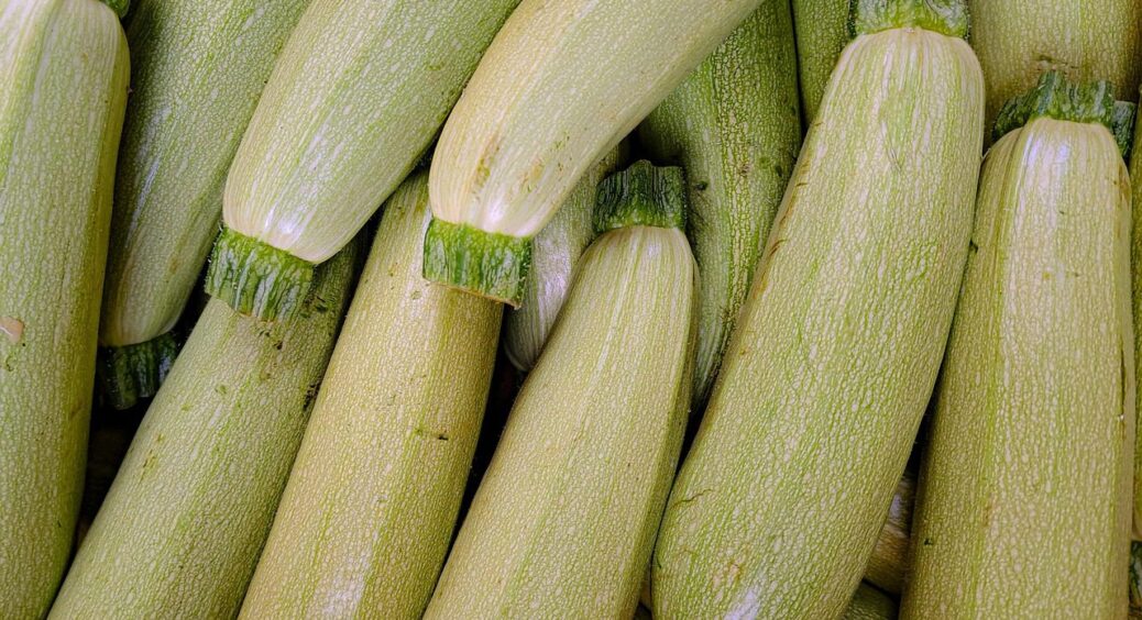 З року в рік саджаю лише їх: ці 3 сорти кабачків визнали найсмачнішими у 2025-му 