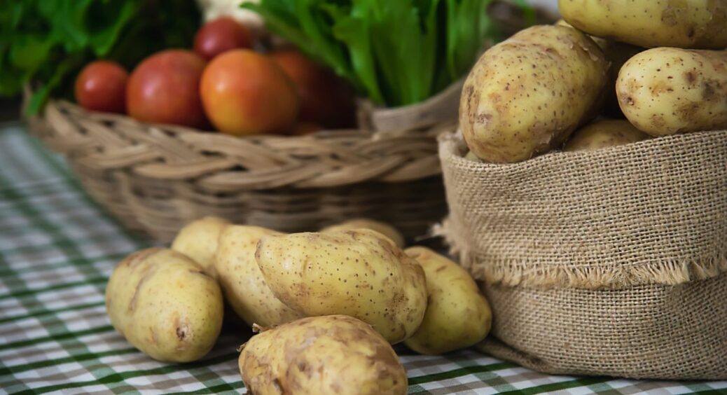 Який сорт картоплі подарував найкращий врожай в 2025 році? Дачники розкрили секрет 