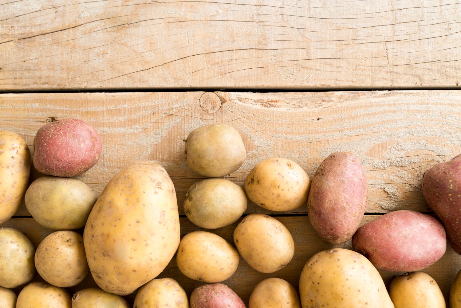 Який сорт картоплі став самим популярним в 2025 році