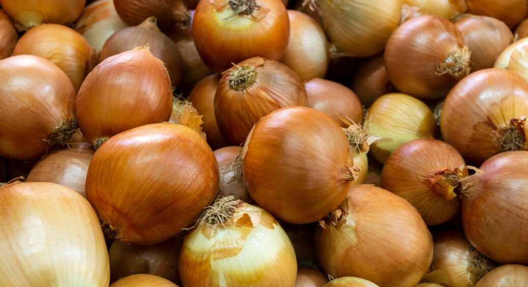 Суха, красива і без гнилі: всього 2 хитрощі, і цибуля пролежить у погребі до наступного літа 