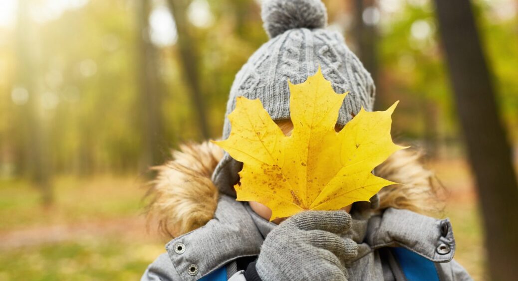 Вже у вересні 2025: на Україну сунуть арктичні холоди – синоптики розповіли про перші заморозки 