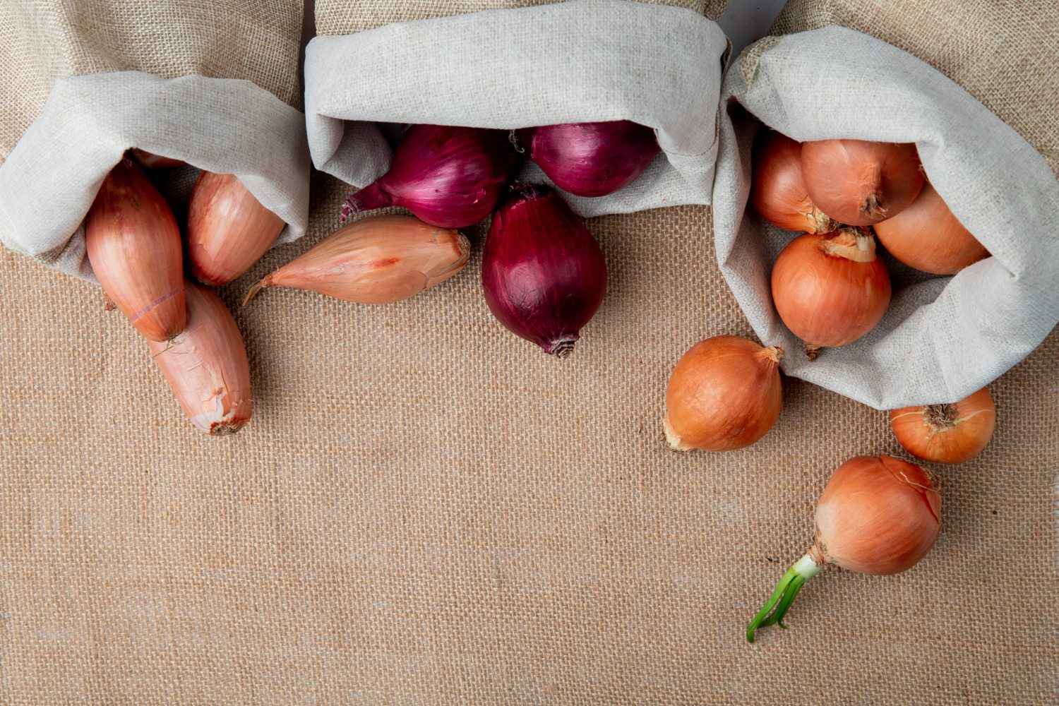 Дачники розповіли, як виростити смачну й соковиту цибулю в квартирних умовах