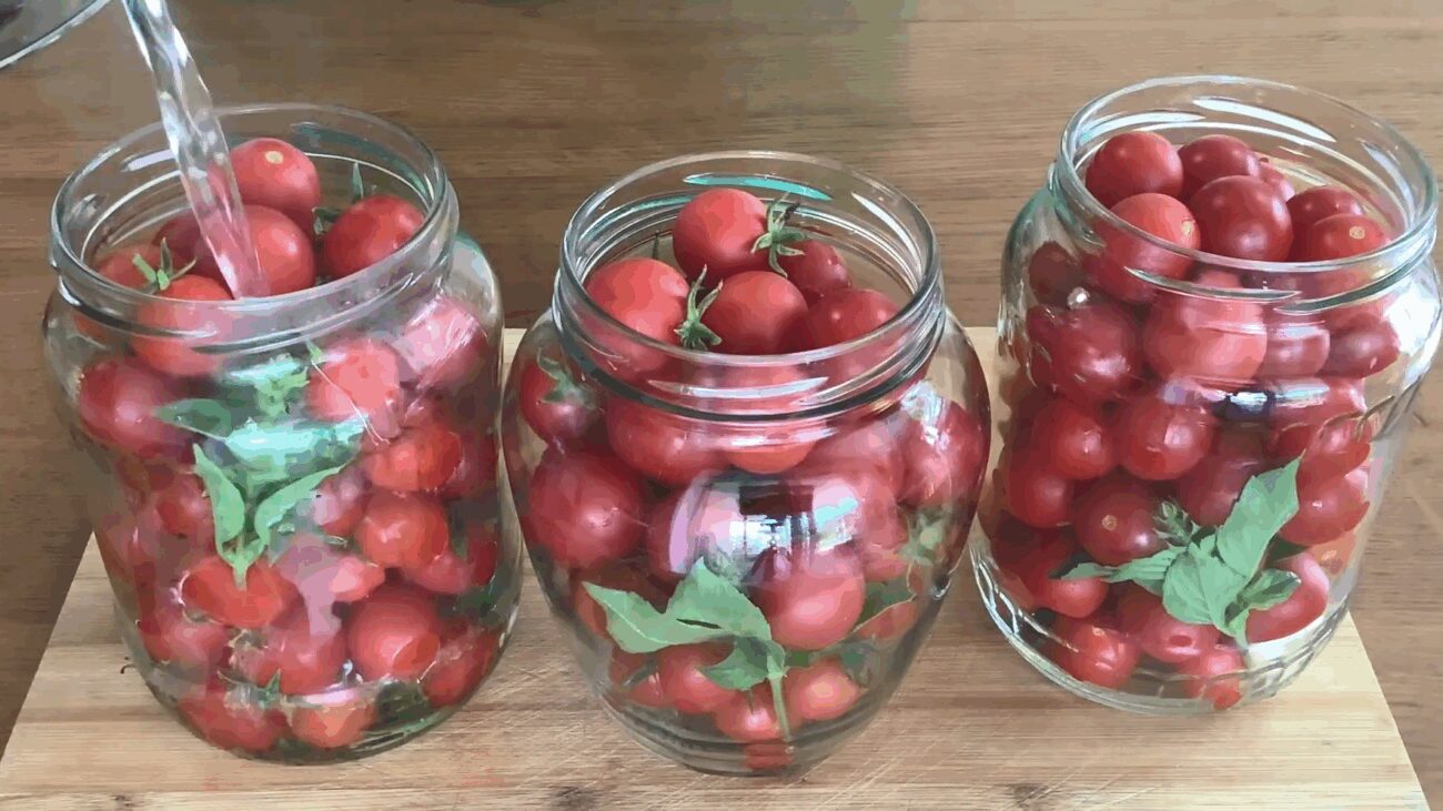 Рецепт дуже смачних маринованих помідорів Чері з базиліком на зиму