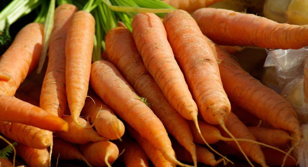 Морква на 2026 сезон: зі 100 сортів зупинилася саме на цих – солодкі, зберігаються без проблем 