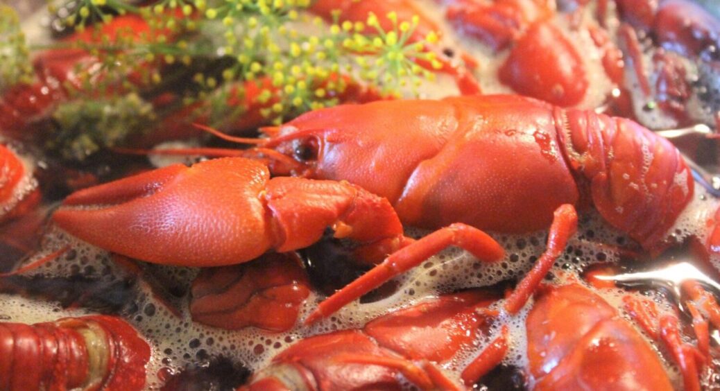 Як варити раків та креветки: у воду потрібно додати цей 1 секретний інгредієнт для ВАУ смаку 