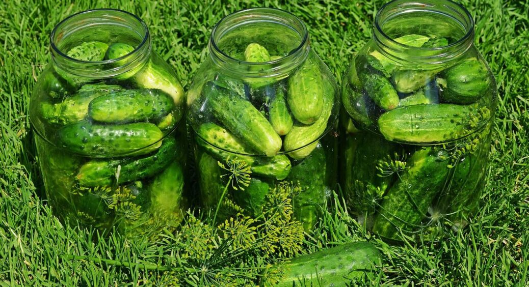 Не оцет і не лимонка, а ось що: так огірки в банках не м’якшають, а стоять хрумкими по 180 днів 