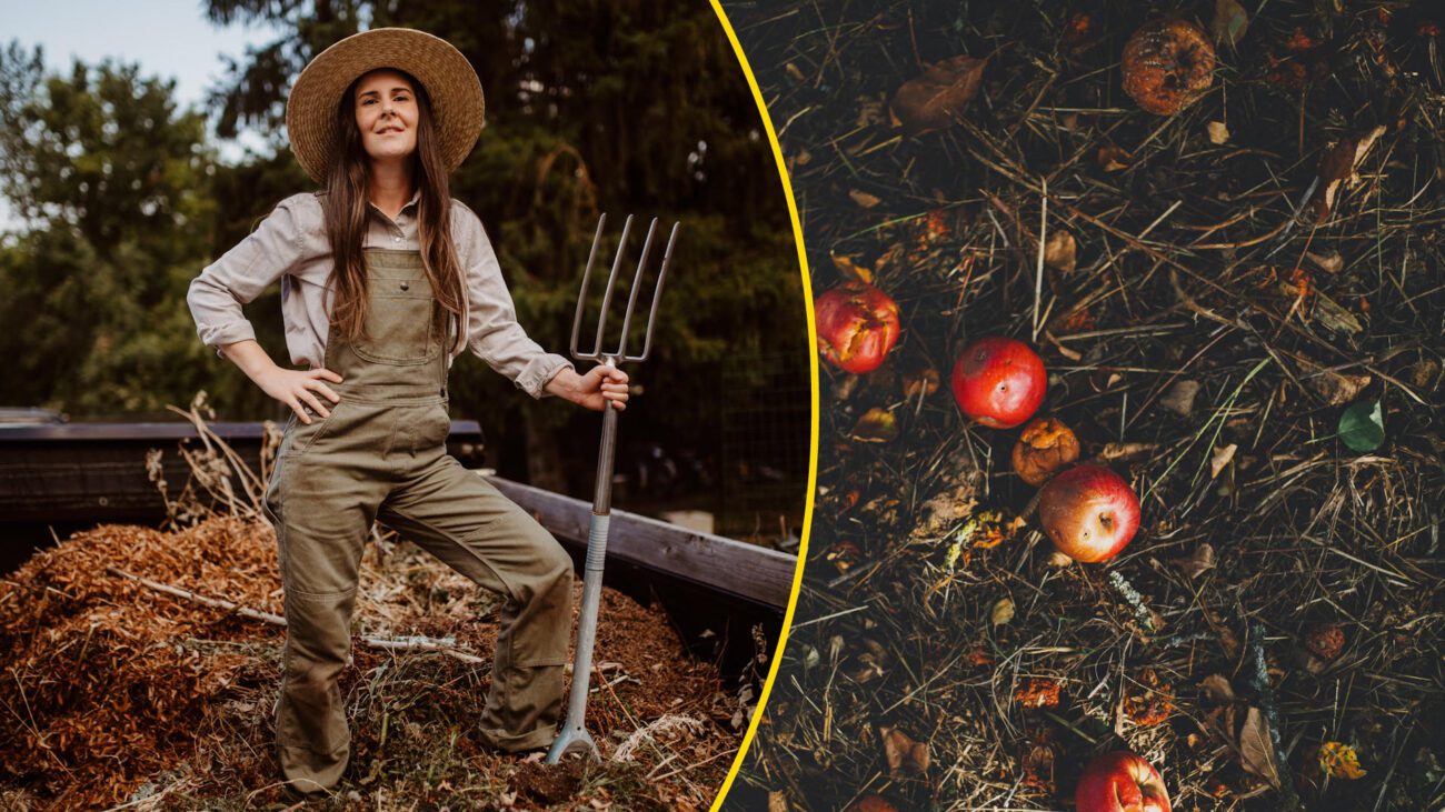 Городники назвали найкращі органічні добрива для овочевих грядок