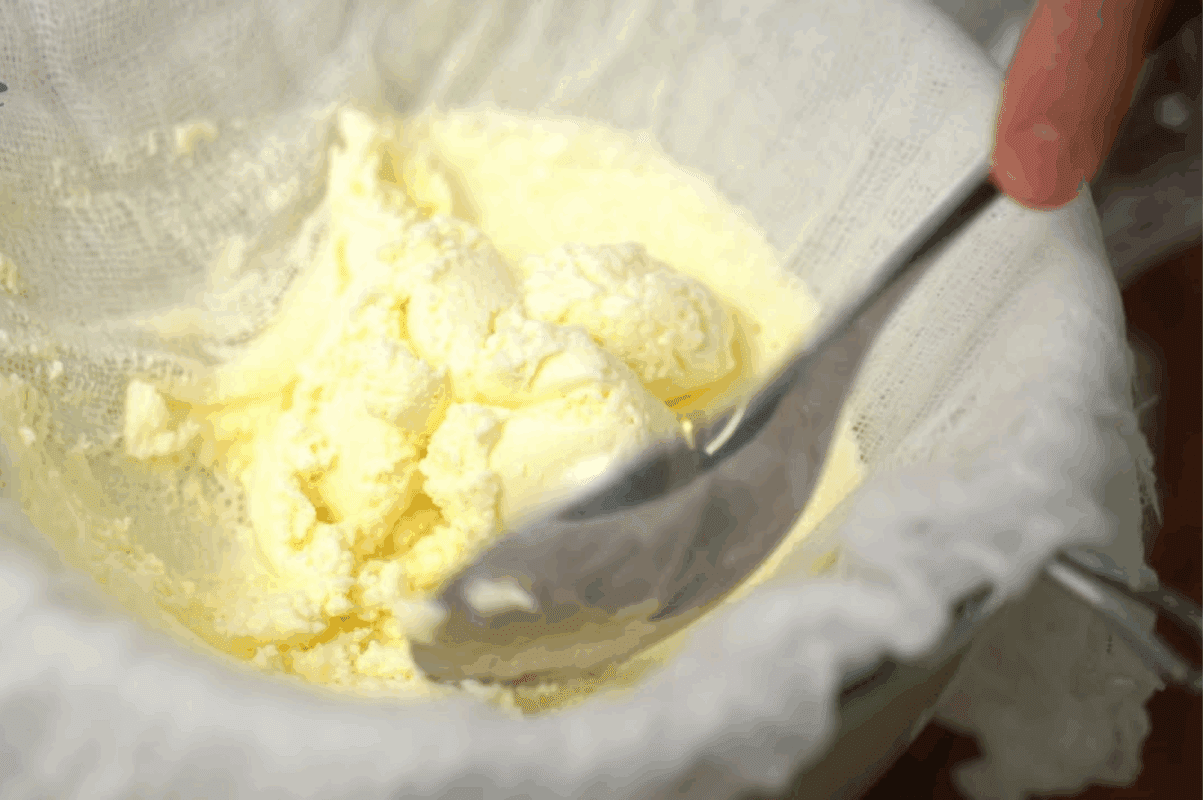 Рецепт вершкового сиру в домашніх умовах Рецепт вершкового сиру в домашніх умовах