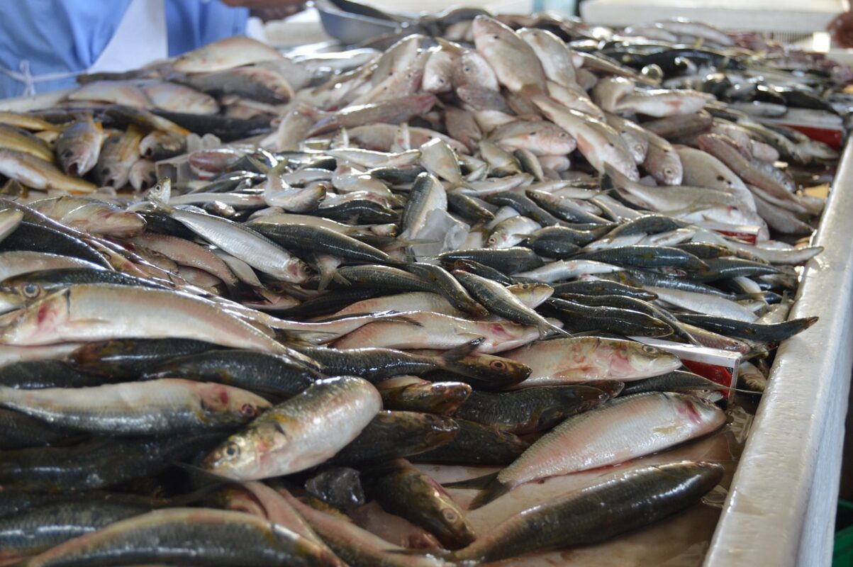 Досвідчені городники розповіли, навіщо закопувати рибу у землю