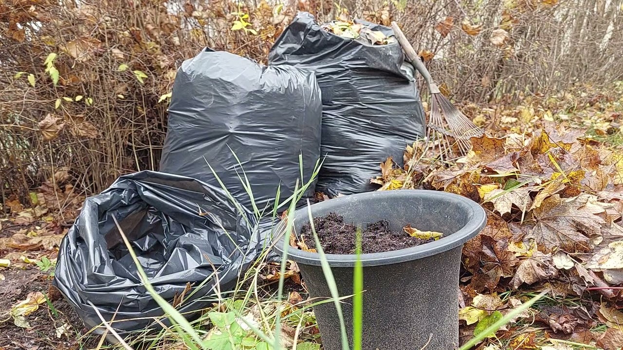 Городники пояснили, як зробити компост у мішках на весну 
