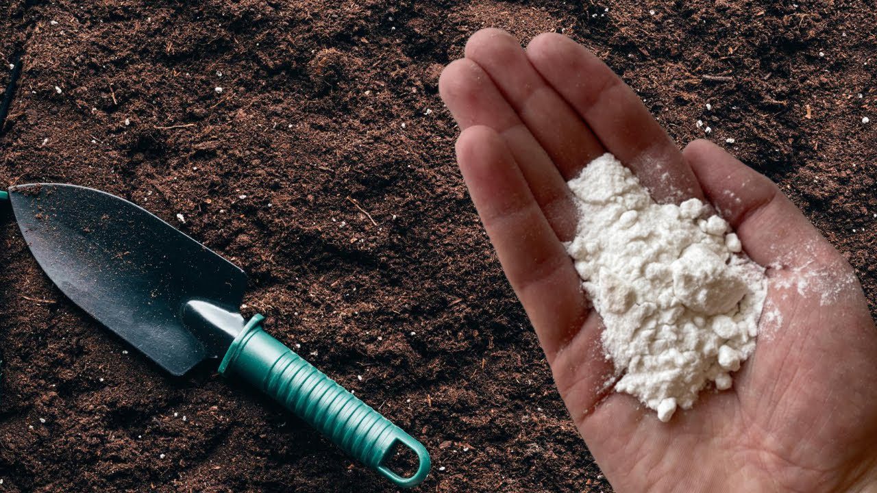 Експерти розповіли, як розкислити ґрунт