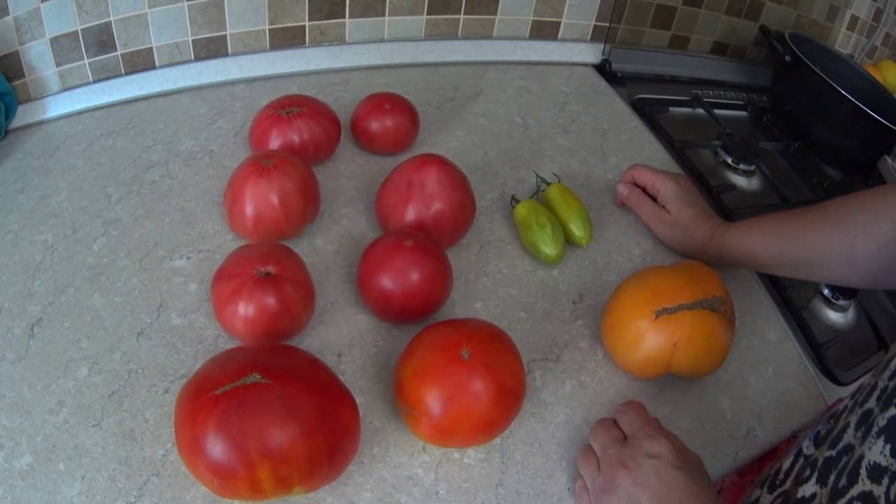 Аграрії розповіли, як правильно збирати насіння помідорів