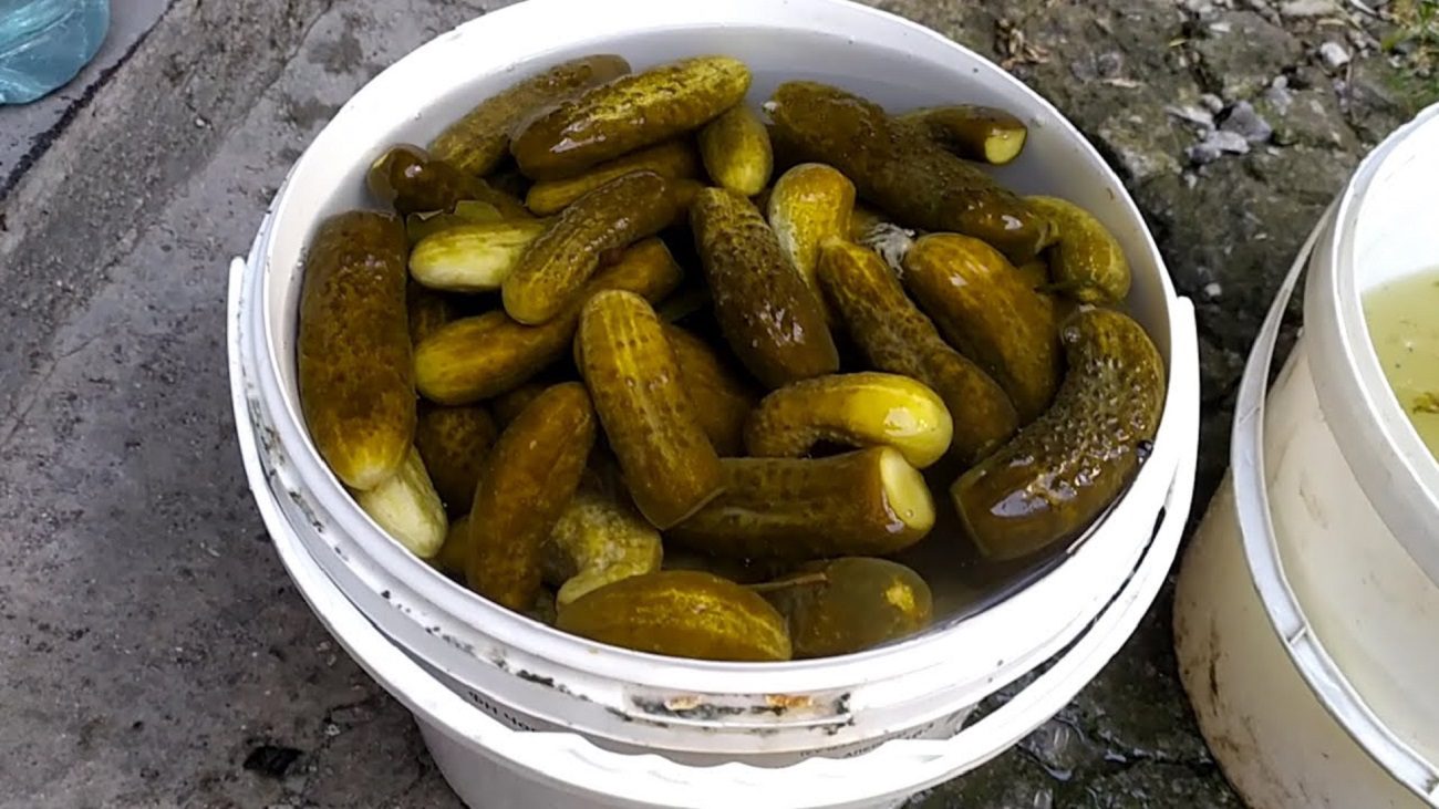 Експерти розповіли, як заквасити огірки, щоб вони були хрусткими аж до весни