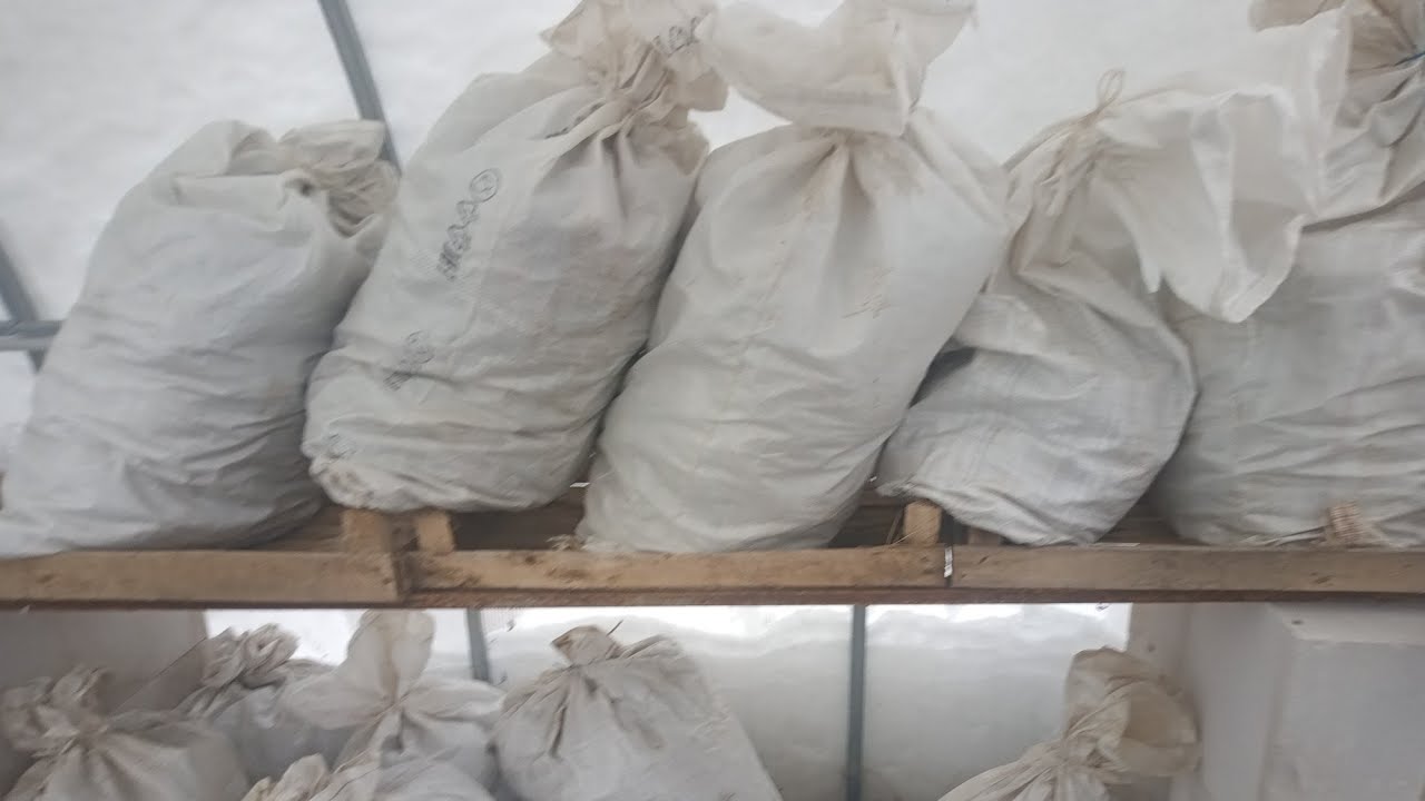 Як приготувати компост із листя в мішках