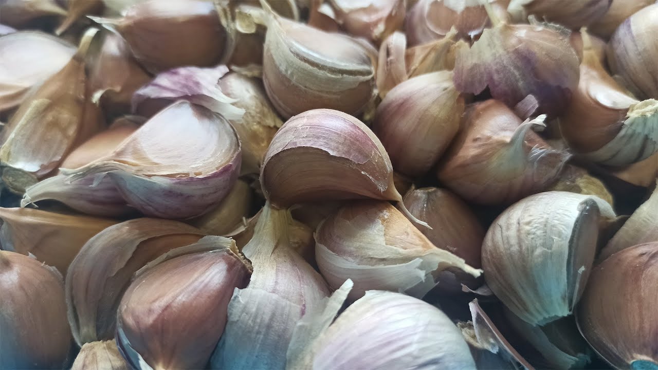 Експерти назвали ідеальні дати в жовтні, щоб посадити часник