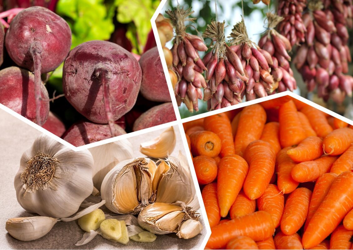 Які культури посіяти на Закарпатті під зиму