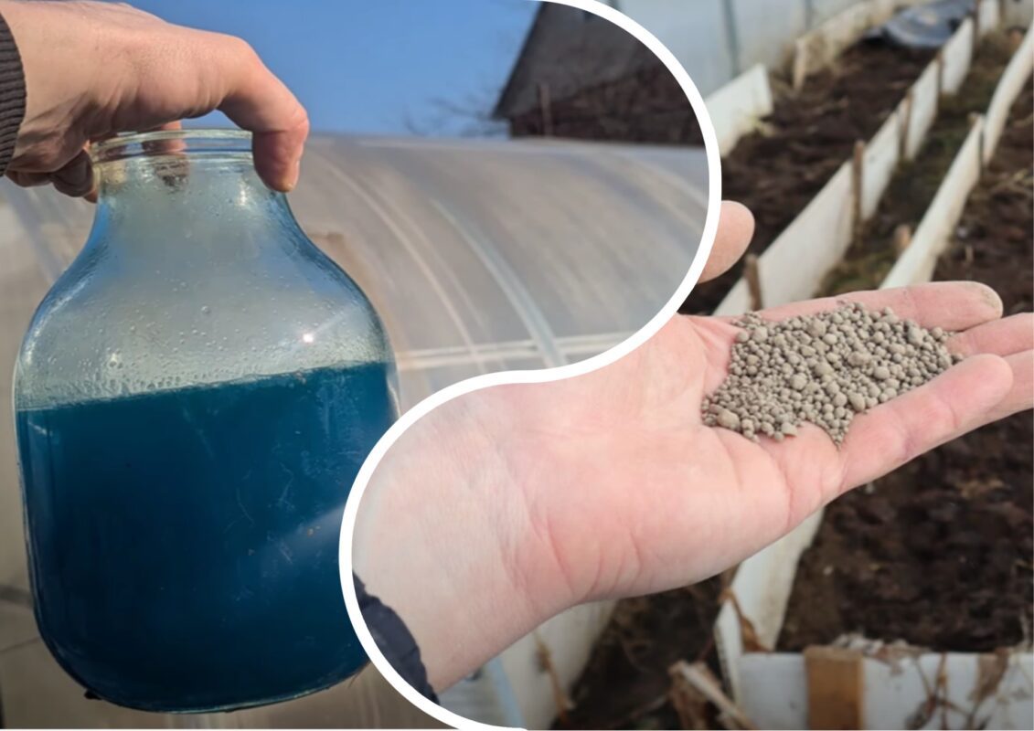 Городники розповіли, що потрібно обов'язково зробити у теплиці восени