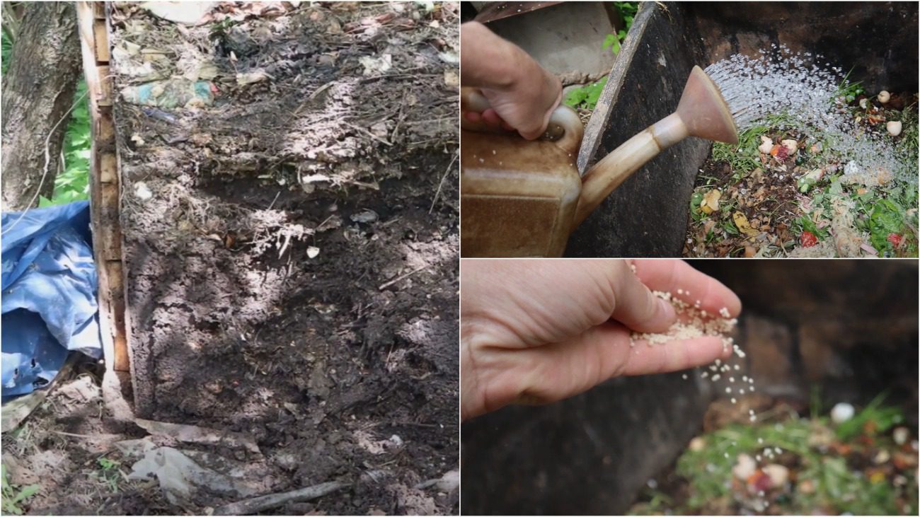 Городники розповіли, як прискорити дозрівання компосту лише 1 засобом