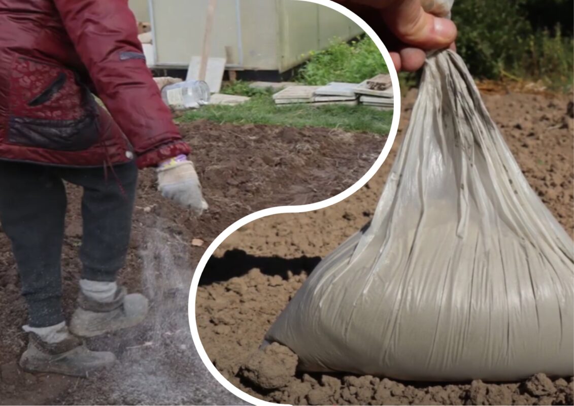 Городники розповіли, що обов'язково потрібно зробити восени на грядках