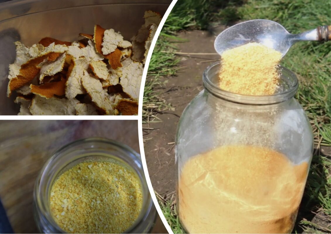 Садівники пояснили, чому у жовтні важливо обробити дерева та кущі від грибків