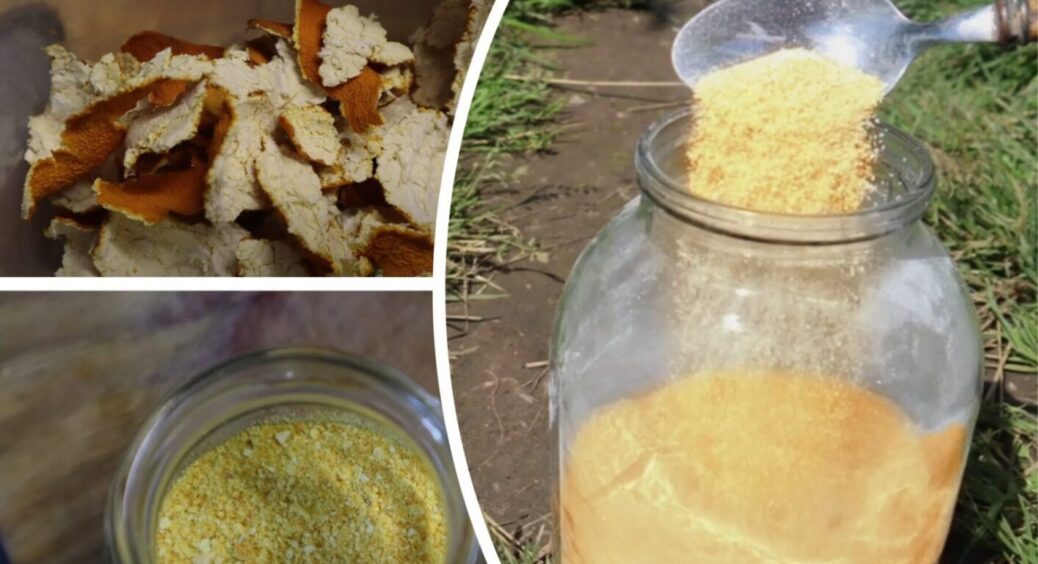 У жовтні обробіть сад ось цим препаратом – і в 2026-му ніяких грибків та гнилі не буде 