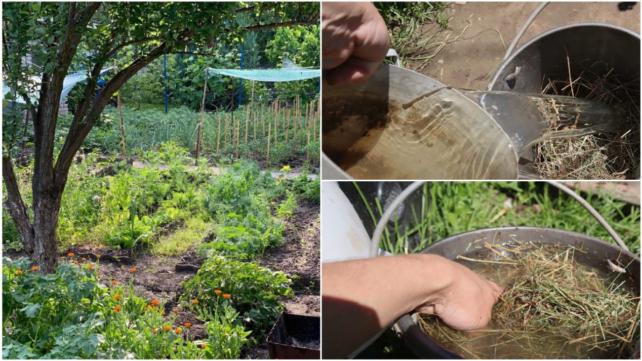 Експерт розповів, які добрива не можна змішувати між собою