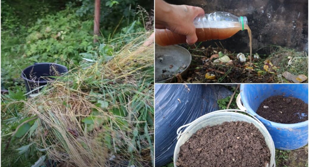 Перегниває бадилля і навіть кістки: полийте ЦИМ компост, а через 8 тижнів вже буде результат 