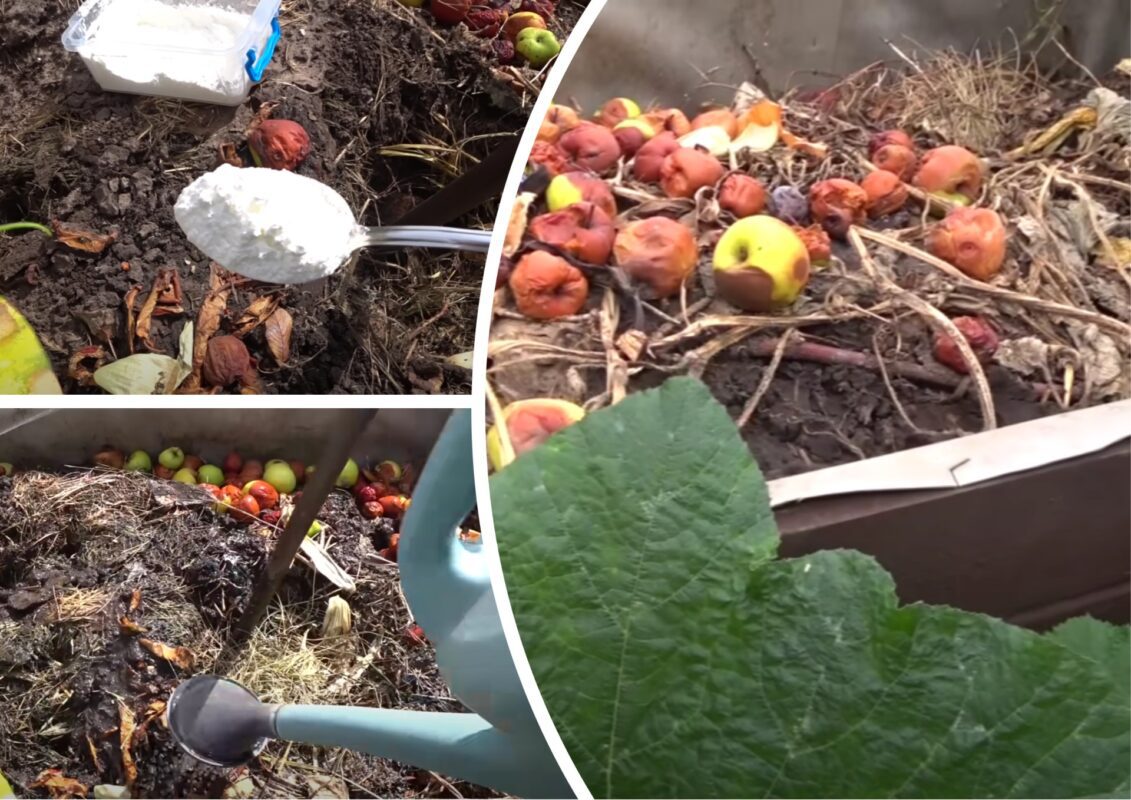 Городниця розповіла, як прискорити дозрівання осіннього компосту у 3 рази