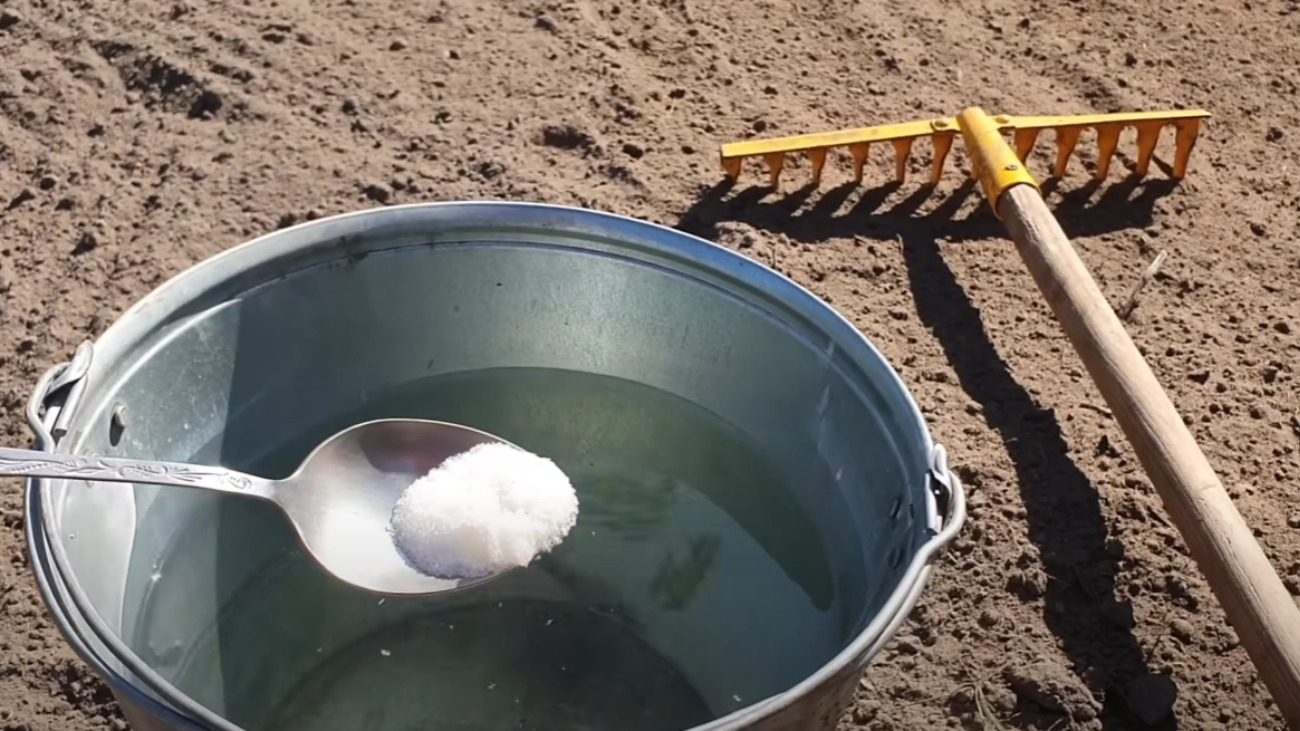 Садівники розповіли, які 5 добрив слід мати для осінньої обробки городу