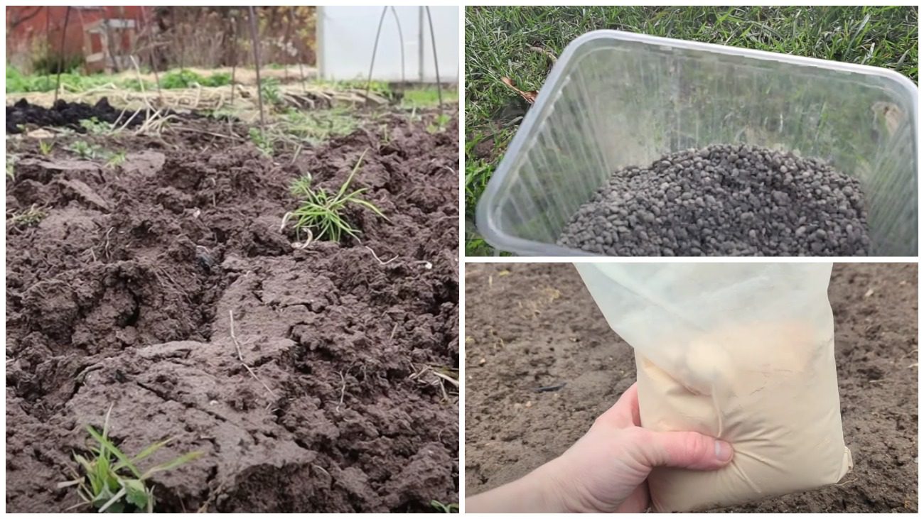 Городники назвали найкраще осіннє добриво для ґрунту