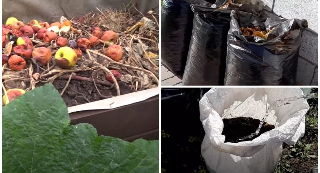 Швидко робимо компост: дуже старий метод, про який усі забули – навіть не треба копати яму 