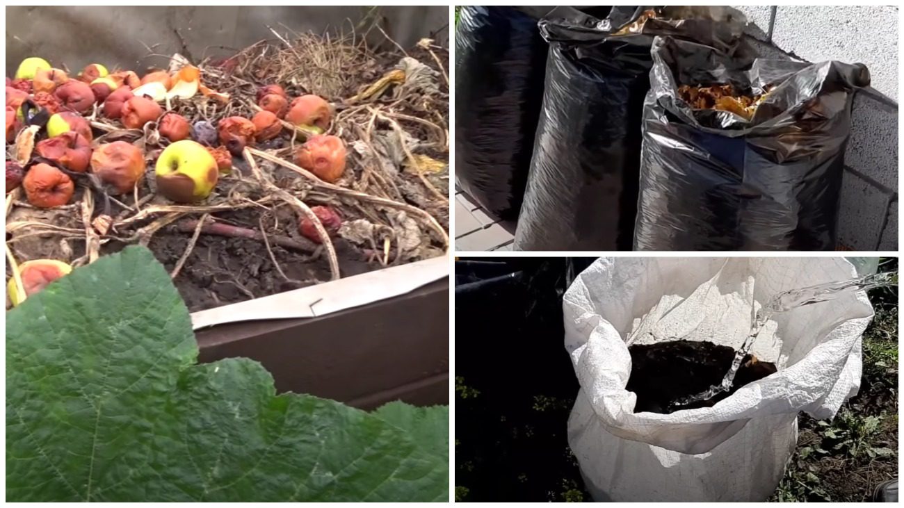 Городниця розповіла, як зробити швидкий компост без коробів та ями