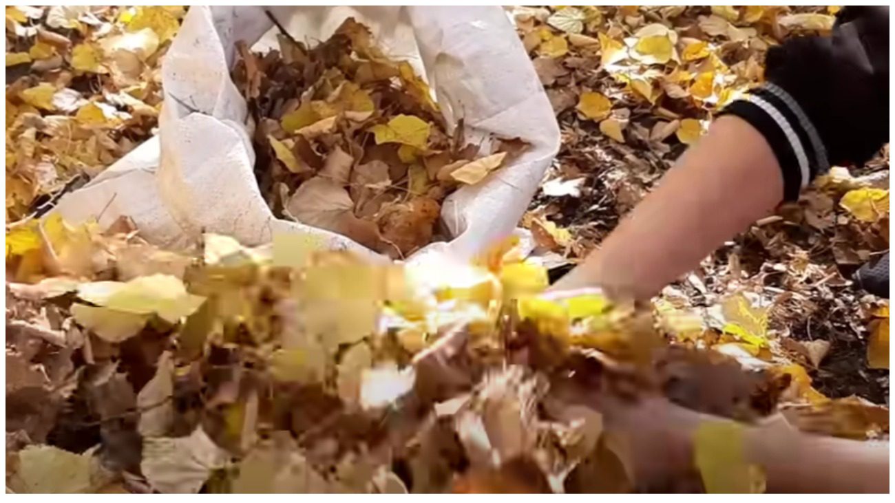 Городниця розповіла, як зробити швидкий компост без коробів та ями