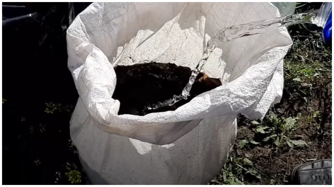 Городниця розповіла, як зробити швидкий компост без коробів та ями