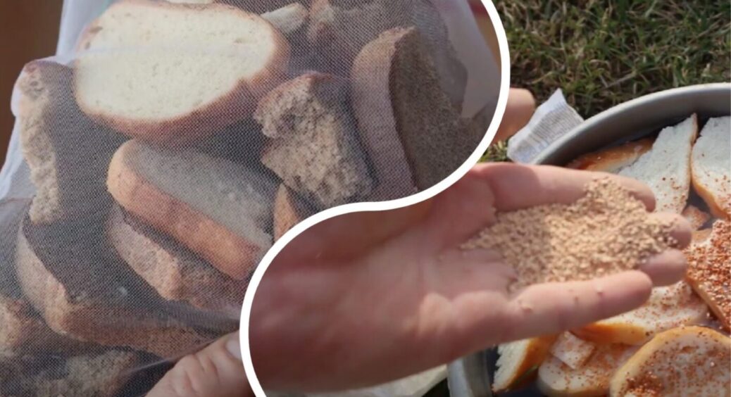 Тепер мені дорогий гній взагалі не потрібен! Просто поливаю цим настоєм город і завжди з урожаєм 