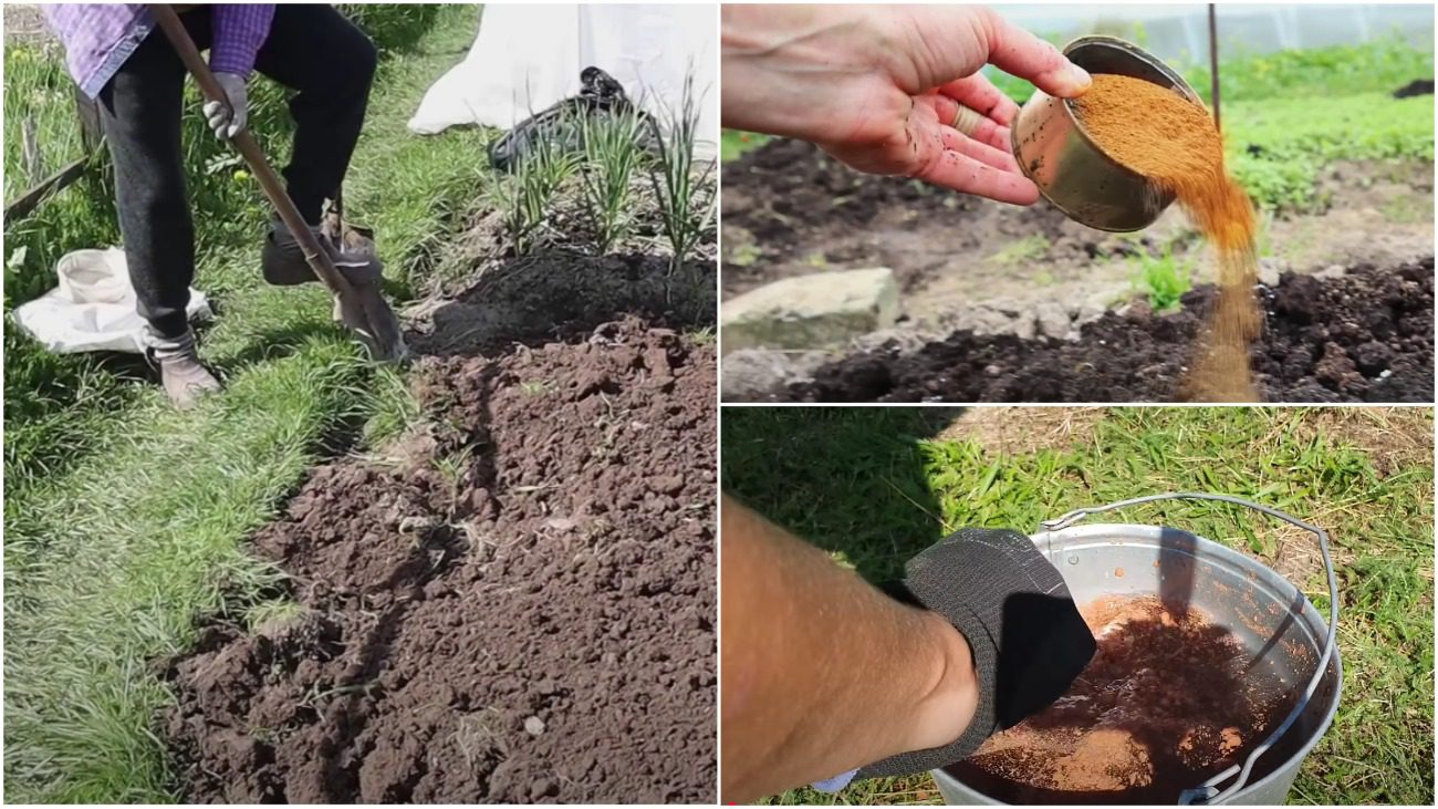 Агроном розповів, які добрива не можна вносити в землю восени