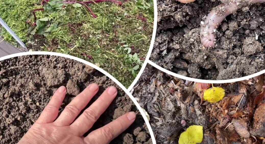 Головне, не перестаратися! 5 грубих помилок, які допускають дачники при підготовці грядок восени 