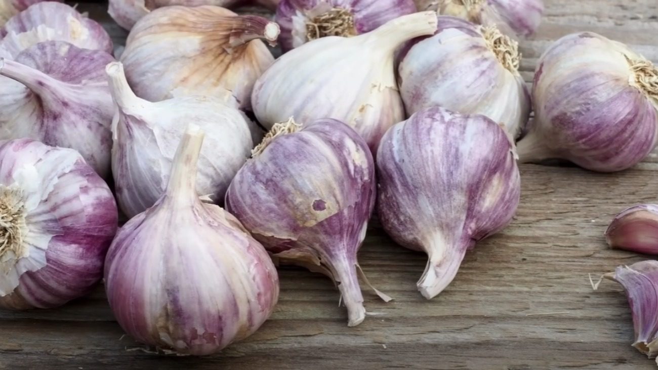 Українські городники назвали найкращі дні для посадки часнику у жовтні і листопаді