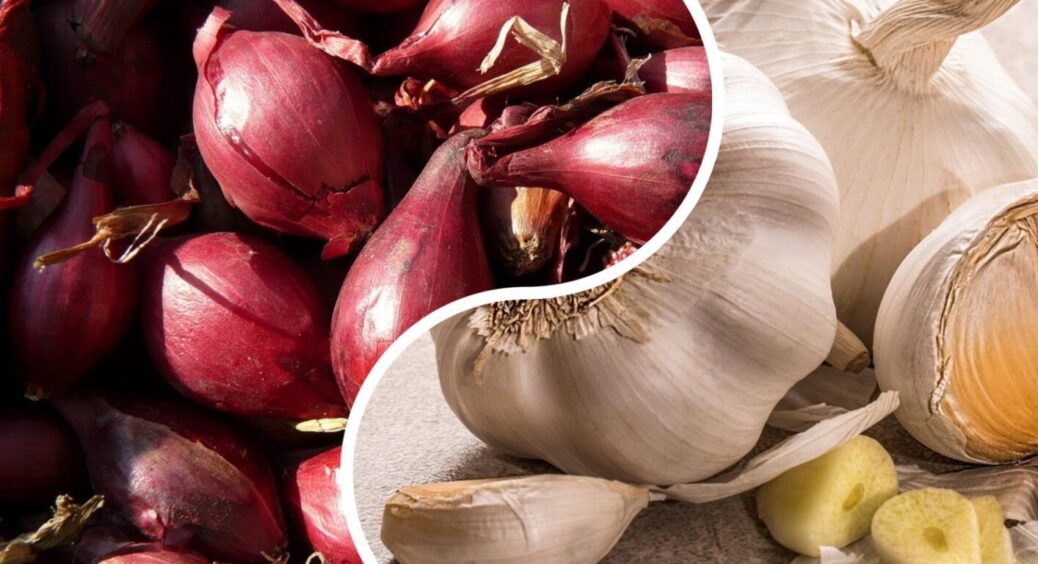 5 правил місячного календаря 2025: коли сіяти часник і цибулю для урожаю, у 2 рази більшого 