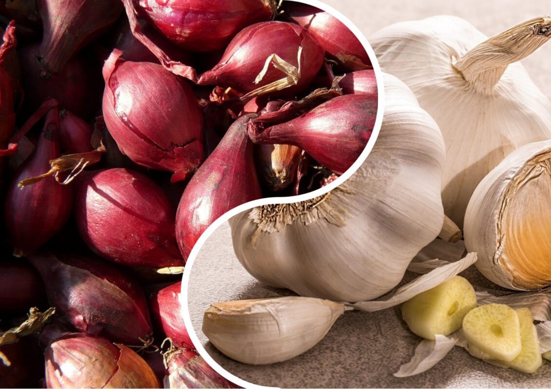 Коли саджати озимий часник та цибулю восени 2025