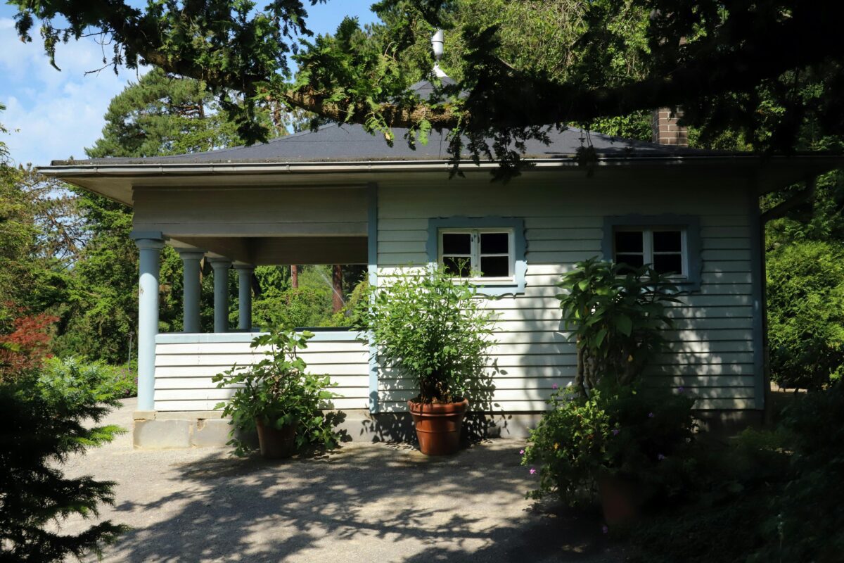 Садівники пояснили, як зробити садові доріжки на городі чистими й сухими