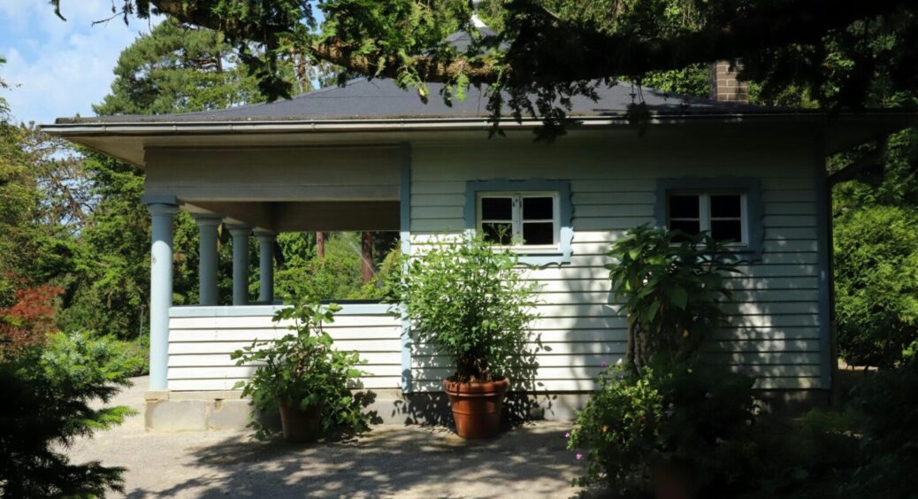 Посипав доріжки і вже 8 років на ділянці немає бруду – дешево, і зиму переживає “на ура” 