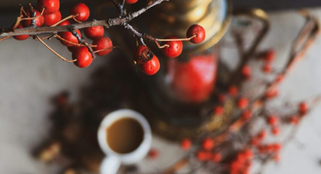 Саме час збирати калину: рецепт зимового калинового чаю, який лікує застуду за 2-3 дні 