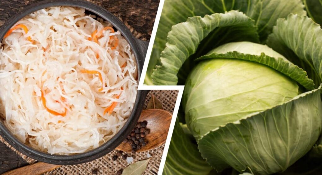 Квашу капусту тільки так – і на свято, і просто: рецепт для лінивих на зиму 2025-2026 