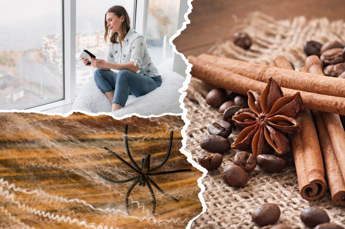 Експерти розповіли, навіщо натирати вікна корицею у вересні – лайфхак