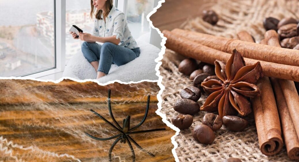 Вікна + кориця – ідеальне комбо! Павуки зникають з домівки миттєво – перевірений лайфхак 2025 