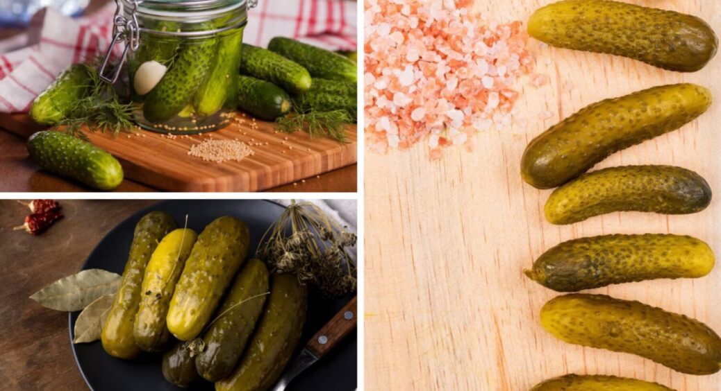 Наші бабусі ще з давніх часів солять огірки тільки 1 способом: оцет і цукор не додаються 
