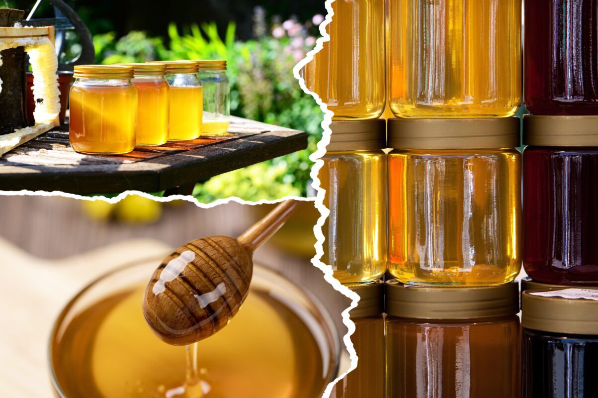 Експерти розповіли, як відрізнити натуральний мед від підробки