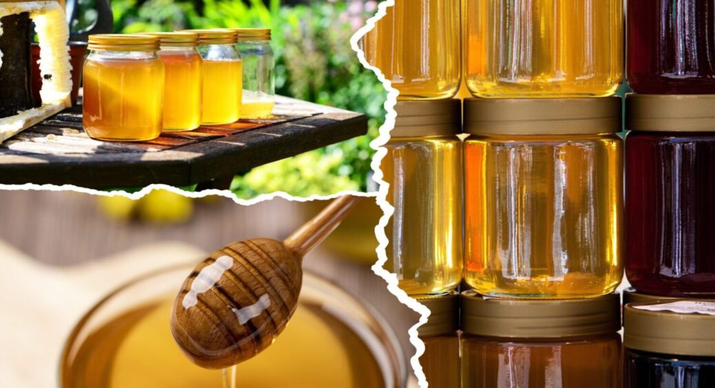 Обдуреними не будете: ось як відрізнити натуральний мед від підробки – 5 ознак 